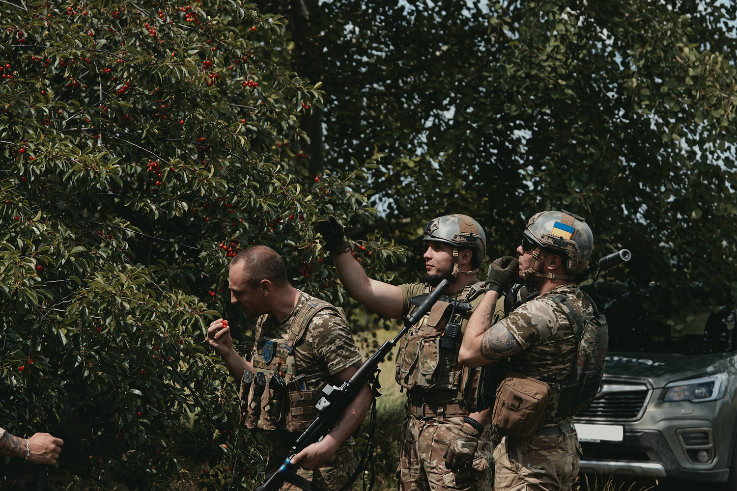 дергачі 3